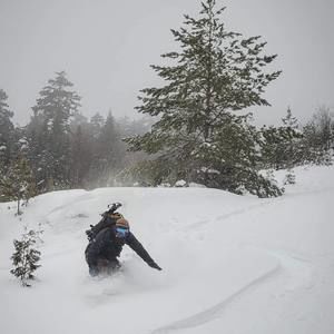 Meet your Posher, Billy